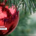 «НТС» о новогоднем празднике в детской футбольной секции ФК «Севастополь»